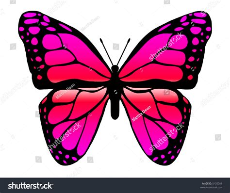 Pink Butterfly Illustration Stock Illustration 5135053 Shutterstock