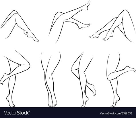 Female Legs Royalty Free Vector Image Vectorstock