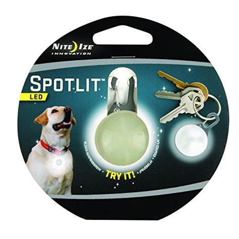 The Top 5 Best Dog Leash Lights For Safe Low Light Walking The Dog