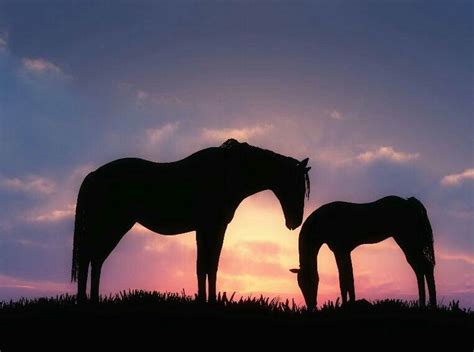 afbeeldingsresultaat voor leuke achtergronden horizon horse horse wallpaper horses beautiful