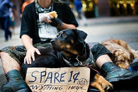 Heartwarming Photographs Of Homeless People With Their Dogs Homeless