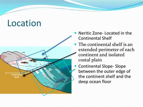 Ppt Neritic Zone Powerpoint Presentation Free Download Id1995794