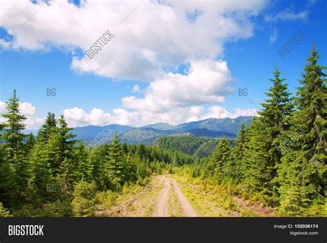 Road Pine Trees Image And Photo Free Trial Bigstock