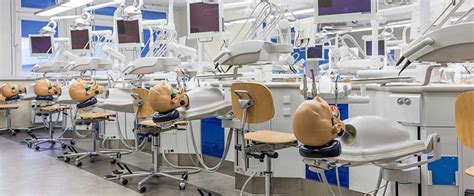 Numerus clausus zahnmedizin pro bundesland. Vorklinik: Zahniportal.de