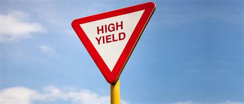 Investors Guide To High Yield Bonds For Smart Investing