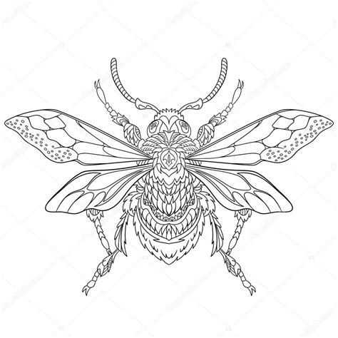 Zentangle gestileerde kever insect — Stockvector © Sybirko 100357102
