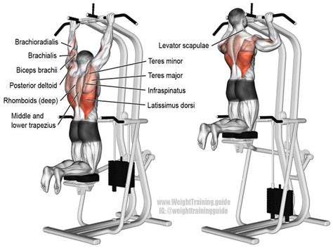 Machine Assisted Pull Up Instructions And Video Weight Training Guide