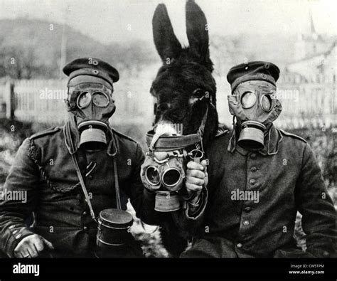 World War 1 Gas Mask Purpleukraine