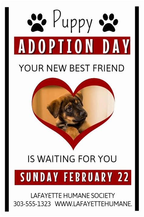 .for a lost pet flyer or found pet poster, as it is not a very technically complicated thing to create, but when you've just lost your pet and are in a panic, or click to download lost pet free microsoft word document: Pet Adoption Flyer Template Inspirational 12 Best Lost ...