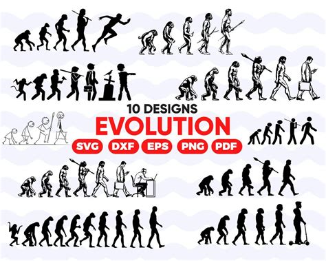 Evolution Svg Evolution Evolution Of Man Symbol Evolution Evolve