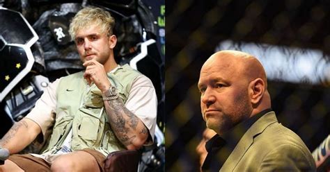 Ufc President Dana White Rules Out Future Partnership With Jake Paul