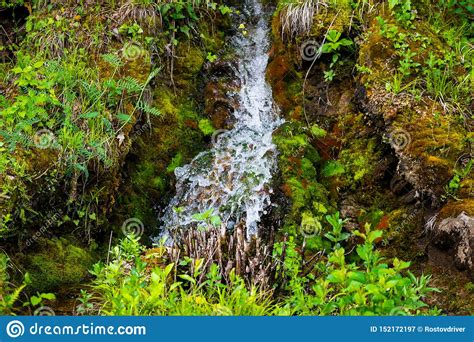Waterfall Green Forest River Stream Landscape Stock Image Image Of