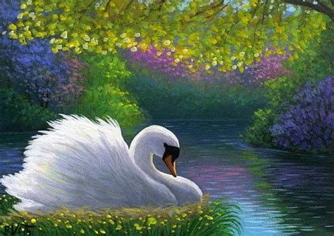 Swan Bird Spring Lake Flowers Sunlight Landscape Limited Edition Aceo