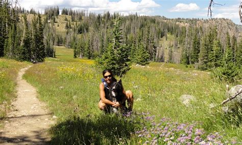 Steamboat Springs Hiking Trails Colorado Hikes Alltrips