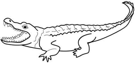 Free Reptiles Cliparts, Download Free Reptiles Cliparts png images