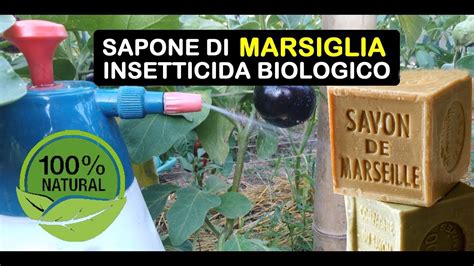 Sapone Di Marsiglia Insetticida Biologico Sapone Di Marsiglia