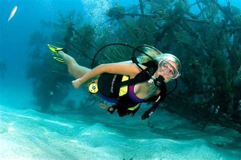 barbados cruise excursions scuba diving and beach day