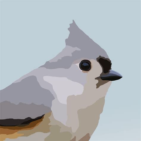 Tufted Titmouse Bird Art Graphic Art Print Etsy