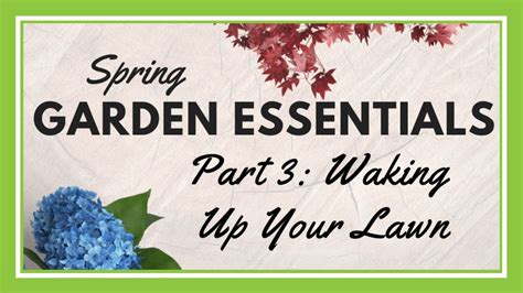 Waking Up Your Lawn Spring Garden Essentials Youtube