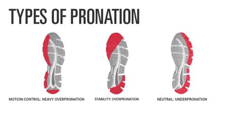 Scheels Running Shoes Buying Guide