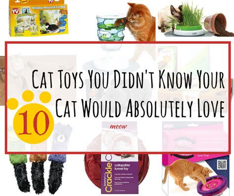 10 Cat Toys You Didn T Know Your Cat Would Absolutely Love Ineed A Playdate