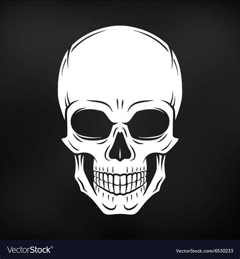 Human Evil Skull Jolly Roger Logo Template Vector Image