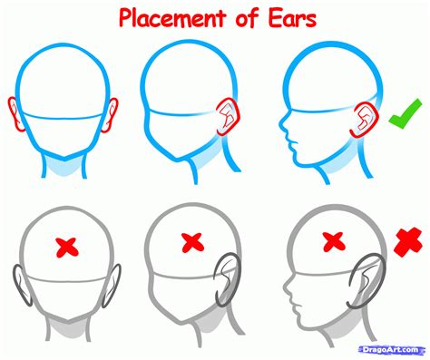 How To Draw An Anime Head Draw A Manga Head Step By Step