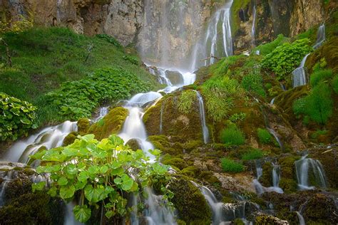Sopotnica Waterfalls Monument Of Nature Belguest