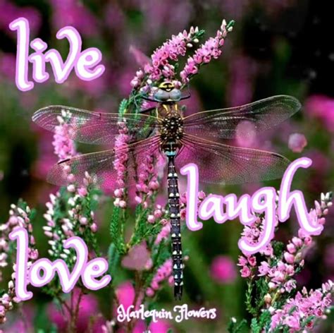 Quotes Flowers Live Laugh Love Inspiration