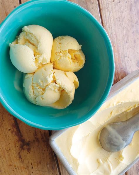 50 + ideas for using lots of extra eggs. Vanilla Duck Egg Ice Cream | Ice cream, No egg desserts ...