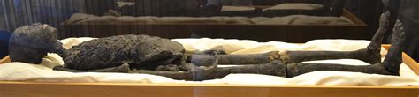 King Tut Seattle Exhibit Mummy Replica Jasons Travels