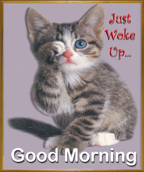 A Very Cute Morning Ecard Free Good Morning Ecards Greeting Cards
