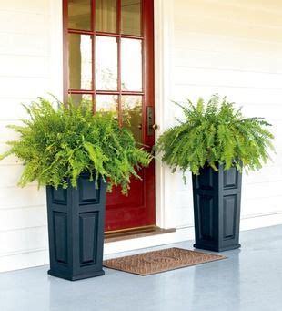 Are there privacy plants that grow in florida? 10 Easy Curb Appeal Updates | Sun, Planters and Front porches