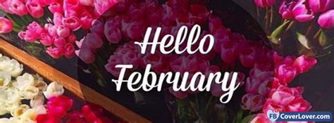 Hello February Flowers February Seasonal Facebook Cover Maker