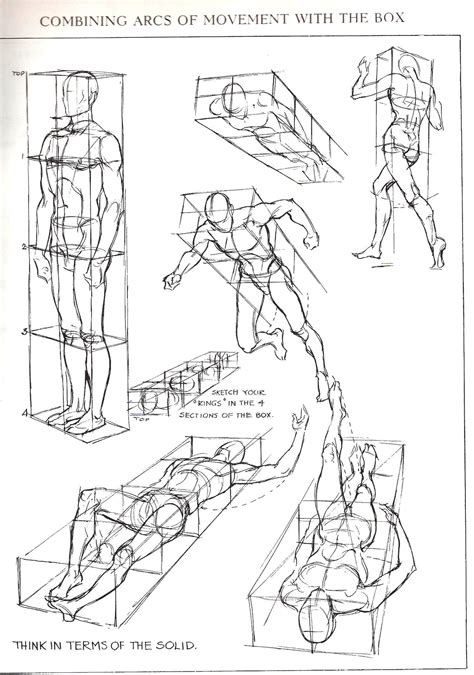 I think is due to the superhero comics, where the character's bodies appear totally ripped like if it was no skin on. Figures in perspective from Figure Drawing For All It's ...