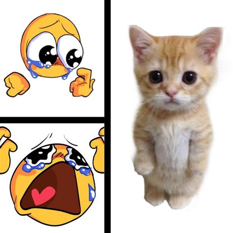 El Gato Meme In 2022 Cats Gatos Disney Characters