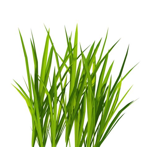 Cartoon Grass Clipart Free Download On Clipartmag