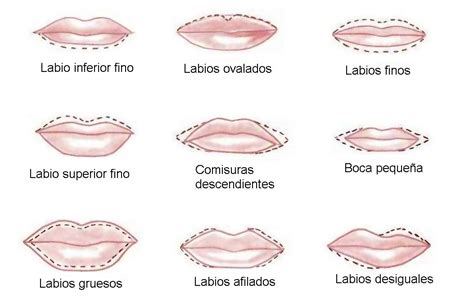 Dibujos De Labios Paso A Paso Para Principiantes