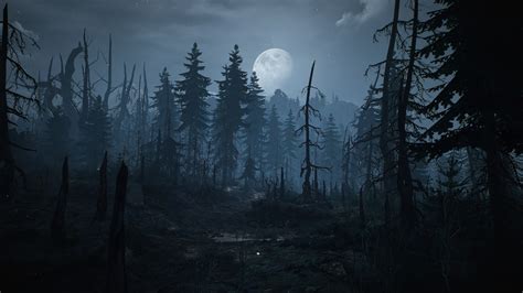The Witcher 3 Wild Hunt Skellige Video Games Screen Shot Wallpaper