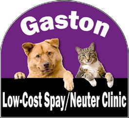 Our pet counselors are here to answer all of your. Pets for Adoption at Animal League of Gaston County dba ...
