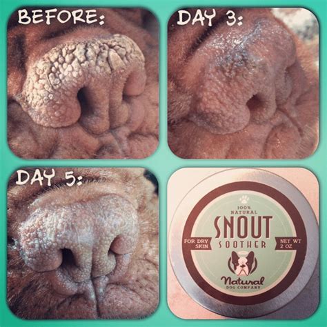 Natural Dog Company Snout Soother 59ml Tin Dåse Næse Creme