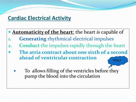 Ppt Cardiovascular System Block Cardiac Electrical Activity