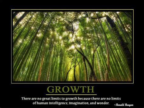 Growth There Are No Great Limits To Growth Because There Are No Limits