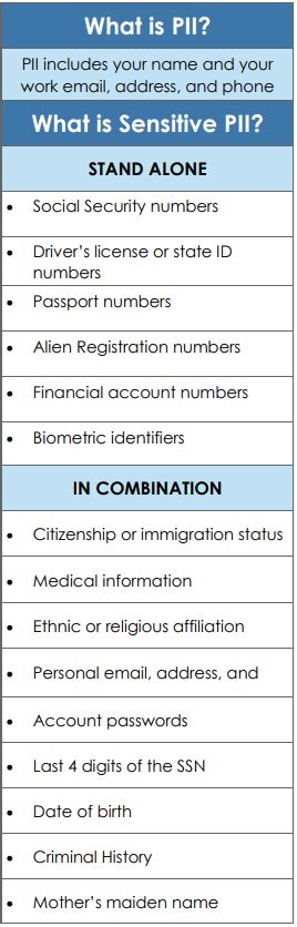 Guide To Personally Identifiable Information Pii Cookieyes