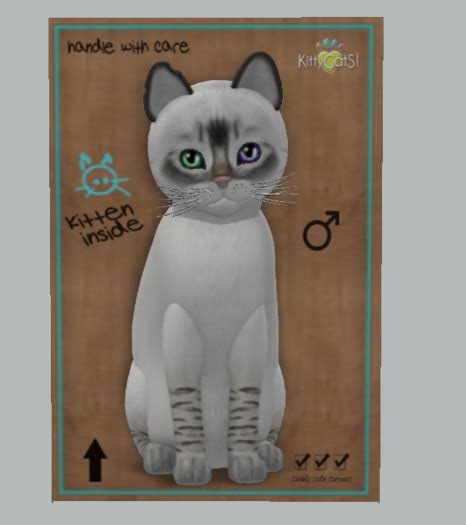 Second Life Marketplace Kittycats Box 6t Balinese Seal Lynx M