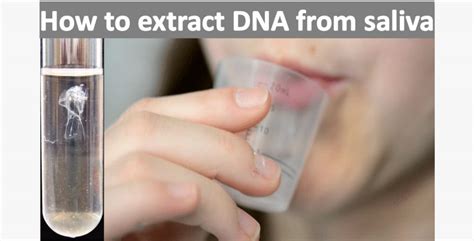 Dna Isolation Using Household Items Scitales