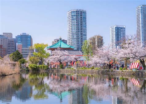 30 Things To Do In Ueno Ultimate Guide To Places For Sightseeing