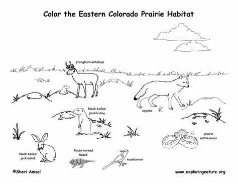 Animal Habitats Coloring Pages Each Printable Highlights A Word That