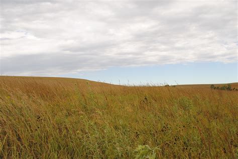 Tallgrass Prairie Fall On The Prairie Carol Blade Flickr