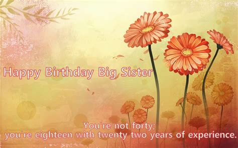 Happy Birthday Wishes And Quotes For Your Sister Holidappy